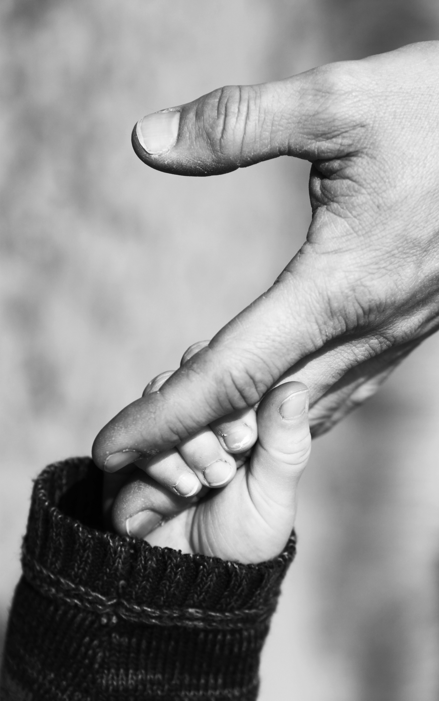🌸 Healing the Father Wound (60 minutes)
