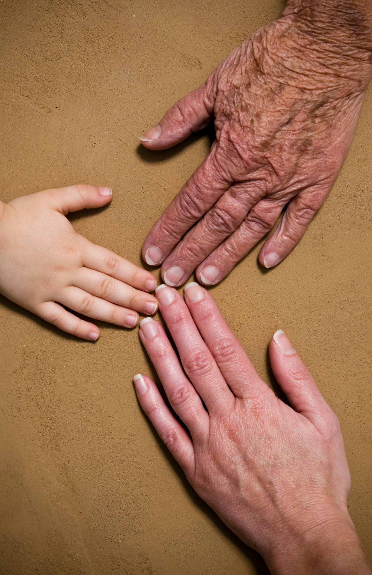 Generational Trauma - 2 Private Sessions (120 min)